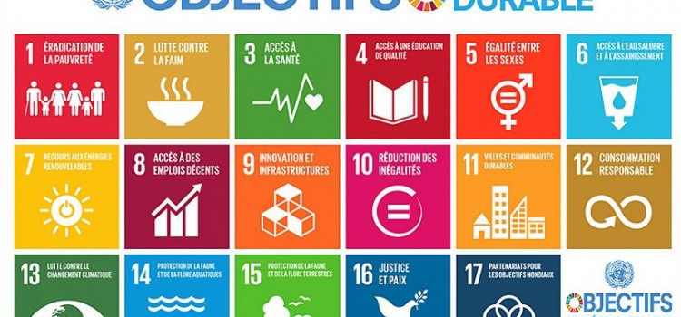EDD: Les objectifs de développement durable
